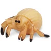 Image de Safari Ltd Figure Hermit Crabs Good Luck Minis