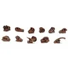 Image de Safari jeu de rôles Crânes de dinosaures Toob junior brun 11 pièces