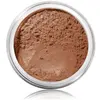 Image de bareMinerals All-Over Face Colour Poudre brozante 10 g