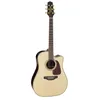 Image de Guitare folk électro Takamine Japon P5DC Natural Satin