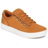 Image de Baskets basses Timberland  ADV 2.0 CUPSOLE ALPINE OX P5087565