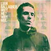 Image de Why Me? Why Not. Vinyle album