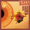 Image de The Kick Inside Vinyle album
