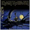 Image de Fear of The Dark (2015 Remastered Version), Disque vinyle
