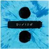 Image de Divide (deluxe), Disque vinyle