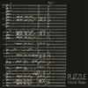 Image de Puzzle Édition Collector Limitée et Numérotée Vinyle album