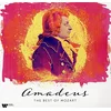 Image de Amadeus:the Best of Mozart [Vinyl LP] en occasion ou reconditionné