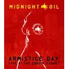 Image de Armistice Day Live at the Domain Sydney Blu-ray
