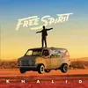 Image de Free Spirit Double Vinyle Gatefold Inclus coupon MP3 Vinyle album