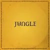 Image de For Ever Vinyle album