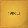 Image de XL Recordings, Disque vinyle, Pour toujours (Jungle)