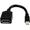 Image de HP Câble adaptateur miniDP vers DP unique (15.70 cm), Adaptateur données + vidéo, Noir
