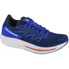 Image de Salomon, Hommes, Chaussures de course à pied, Spectur (42 2/3), Bleu