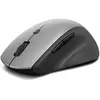 Image de Lenovo Médias sans fil ThinkBook (Sans fil), Souris, Noir, Gris