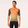 Image de Oakley Apparel Maillot à Manches Courtes Endurance Dazzle Camo XS