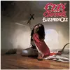 Image de Sony Music, Disque vinyle, Blizzard Of Ozz (Ozzy Osbourne)