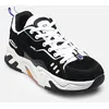 Image de CT-4000 par Globe Noir 43 Homme