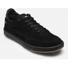 Image de Holand par Globe Noir 45 Homme