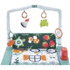 Image de Fisher-Price Tapis d'activité 3 en 1 Cozy Cottage Gym