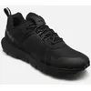 Image de Winsor TrailLOW LACE SNEAKER par Timberland Noir 40 Homme