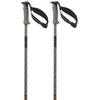 Image de Salomon Bâtons Polar Pro S3
