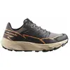 Image de Salomon, Femmes, Chaussures de course à pied, Thundercross GTX Schuhe für Damen (42), Gris, Noir