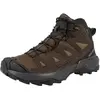 Image de Salomon, Hommes, Chaussures de randonnée, X Ultra 360 LTR Mid GTX - 65743 (43 1/3), Marron