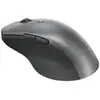 Image de Lenovo Professional Bluetooth Mouse (Sans fil), Souris, Gris