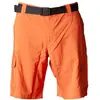 Image de Columbia, Hommes, Short, Silver Ridge  Utility Cargo Short, Orange, (30)