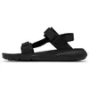 Image de Columbia, Hommes, Sandales, Peakfreak Roam, Noir, Gris, (43)