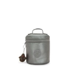 Image de Kipling Accessoire De Voyage Brynley Moon Grey Metallic Vert Petit Femme 100% Polyamide