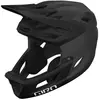 Image de Giro Casque De Descente Coalition Spherical Mips L