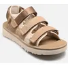 Image de Sandales et nu-pieds UGG M GOLDENCOAST MULTISTRAP pour Homme Beige 42