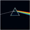 Image de Pink Floyd - The Dark Side Of The Moon (50e anniversaire), Disque vinyle