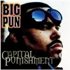 Image de Capital Punishment, Disque vinyle