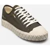Image de Palla Ace Cvs Org M par Palladium Vert 45 Homme