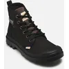 Image de Pampa Michigan par Palladium Noir 36