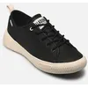 Image de Baskets Palladium Pallanova Lo Lth W pour Femme Noir 38
