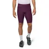 Image de Pearl Izumi Cuissard Sans Bretelles Expedition 3XL