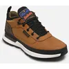Image de Field trekker low lace sneaker par Timberland Marron 41 Homme