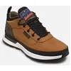 Image de Field trekker low lace sneaker par Timberland Marron 46 Homme