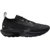 Image de Nike, Hommes, Chaussures de course à pied, Pegasus Trail 5 GORE-TEX (44.5), Noir