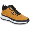 Image de Baskets montantes Timberland  FIELD TREKKER M66487847