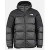 Image de M Diablo Down 2.0 Hoodie par The North Face Noir XL Accessoires