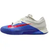 Image de NikeCourt Air Zoom Vapor Pro 3 Premium HC Deep Night Light Crimson Baskets Homme Bleu Ivoire Pâle Argent Métallisé HJ6774-500 44