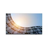 Image de LENOVO ThinkVision E65 LFD 165,1cm 64,5inch UHD 8ms 60Hz 64ACGAT1EK