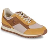 Image de Baskets basses Timberland  SCOUT HEIGHTS M67950696