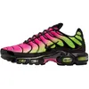 Image de Baskets Unisexe Nike Air Max Plus Hyper Rose Volt Noir DM0032-027 47.5