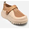Image de Chaussons UGG M PeakMod Lowcut pour Homme Marron 40