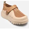 Image de M PeakMod Lowcut par UGG Marron 43 Homme